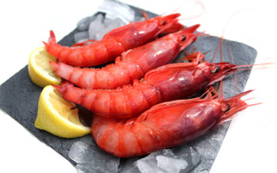 Cómo preparar la gamba roja de Dénia.