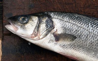 Comer lubina fresca en Dénia: curiosidades y beneficios