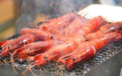 Gamba roja de Dénia: La joya del Mediterráneo