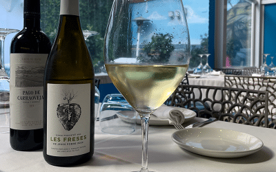 Los mejores vinos para complementar tu experiencia gastronómica